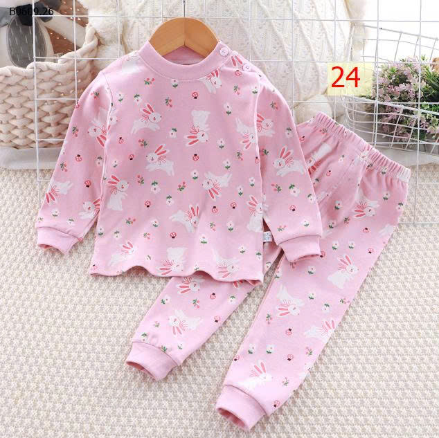 MẪU 24