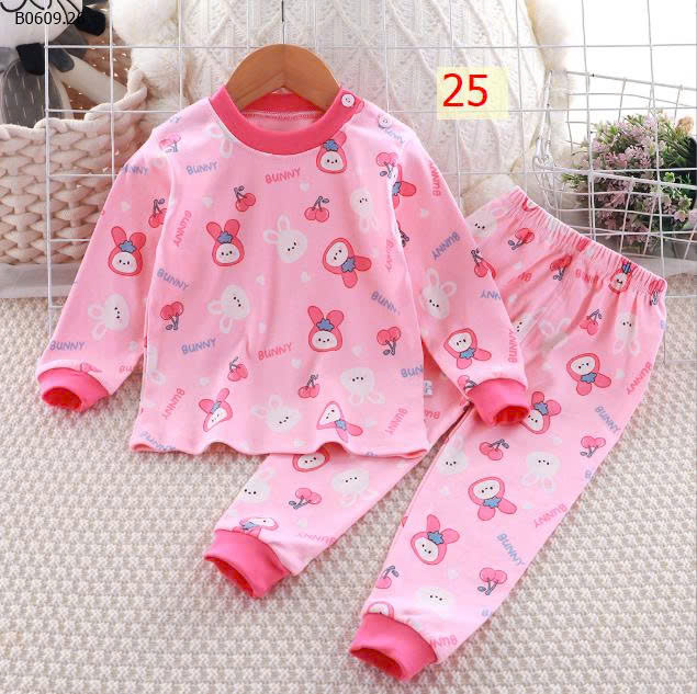 MẪU 25