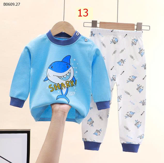 MẪU 13