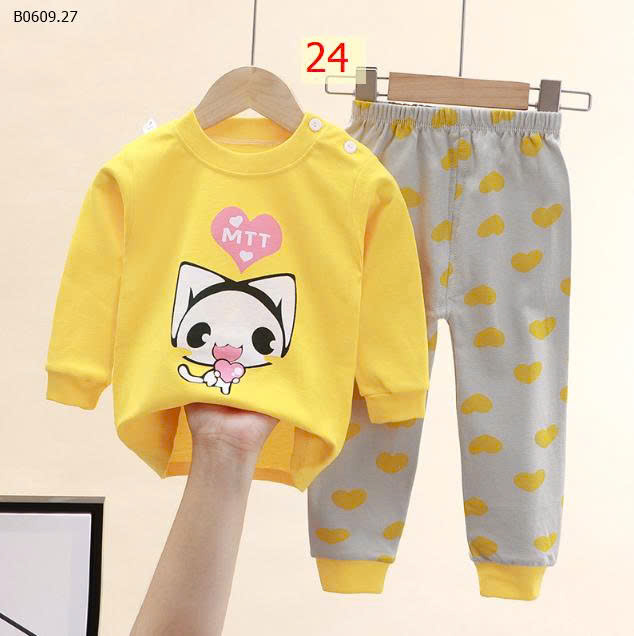 MẪU 24