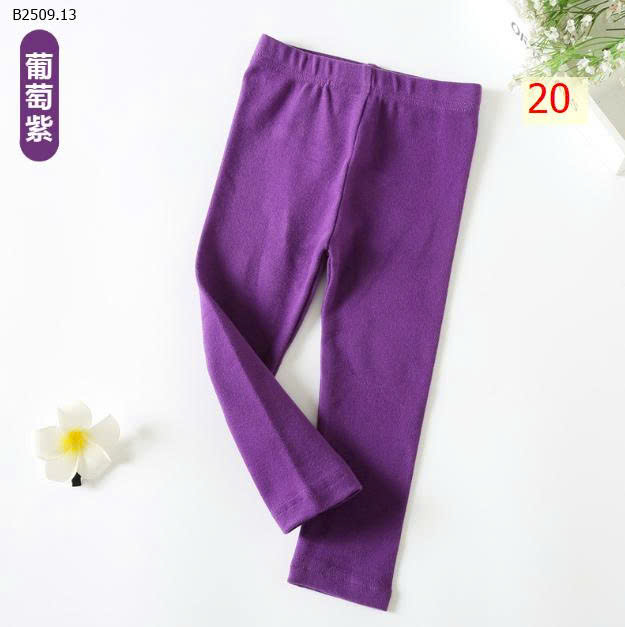 MẪU 20