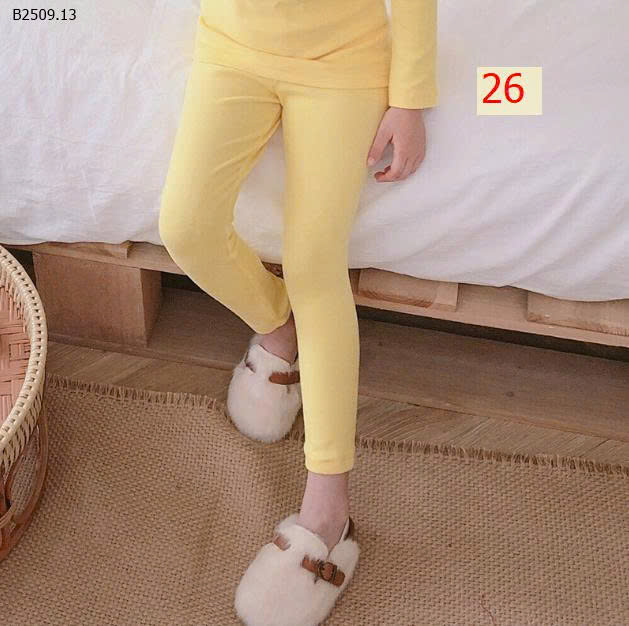 MẪU 26