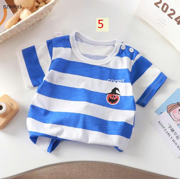 MẪU 5