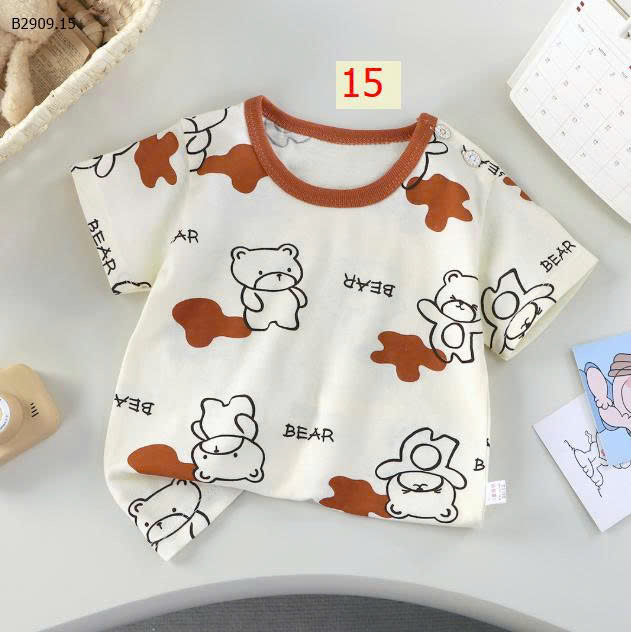 MẪU 15