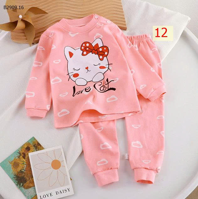MẪU 12
