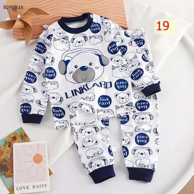 MẪU 19