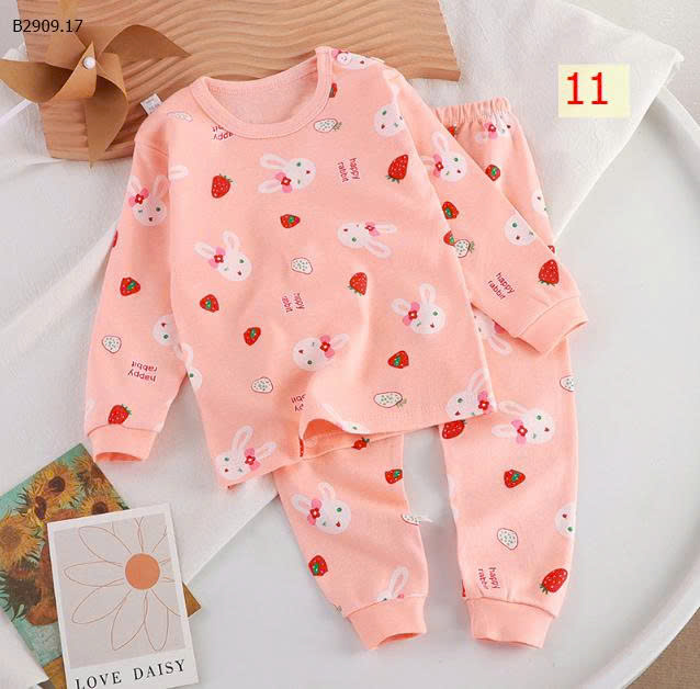 MẪU 11
