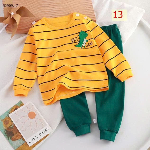 MẪU 13