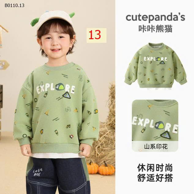 MẪU 13