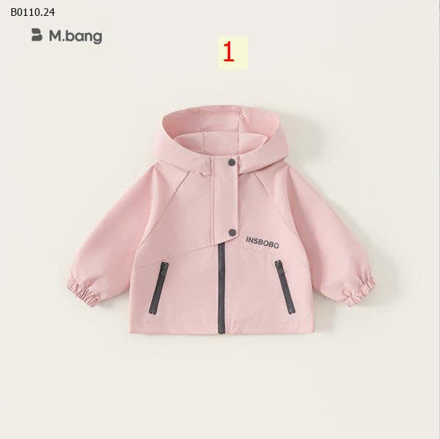 MẪU 1