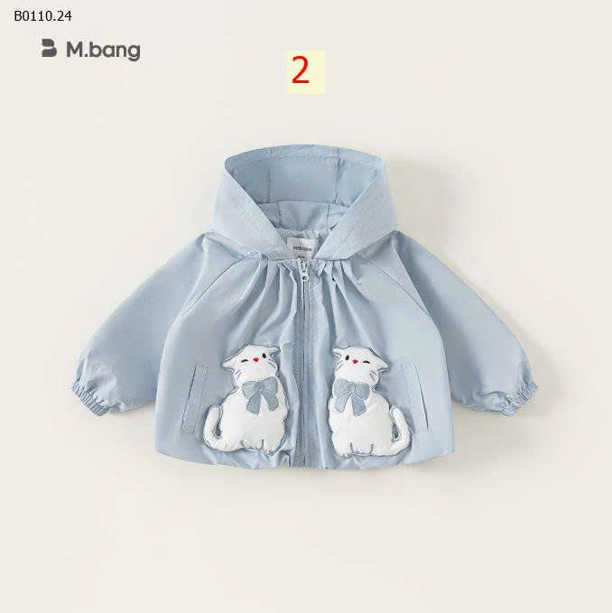 MẪU 2