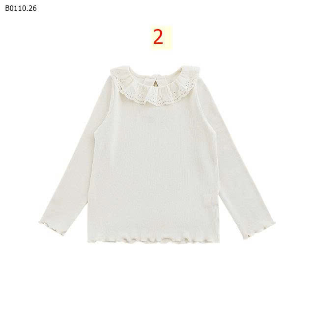 MẪU 2