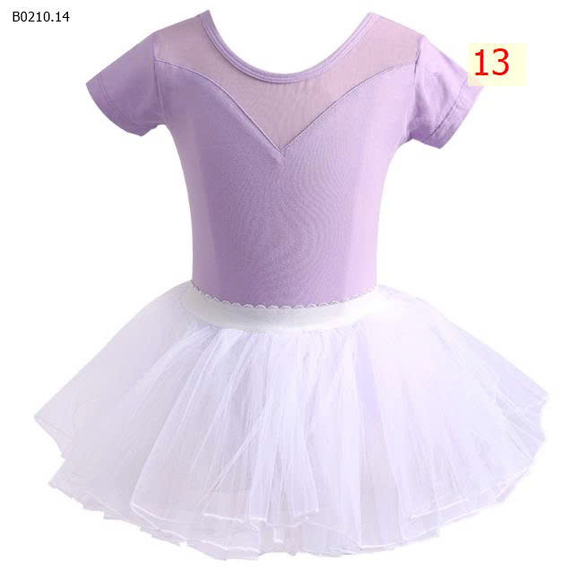 MẪU 13