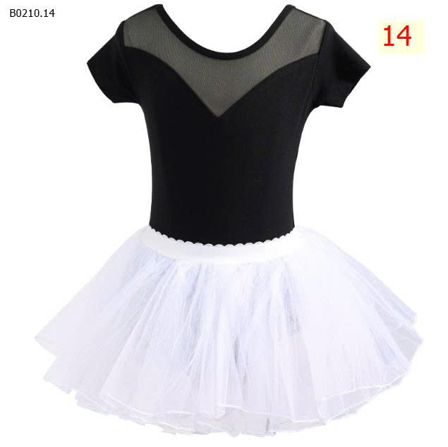 MẪU 14