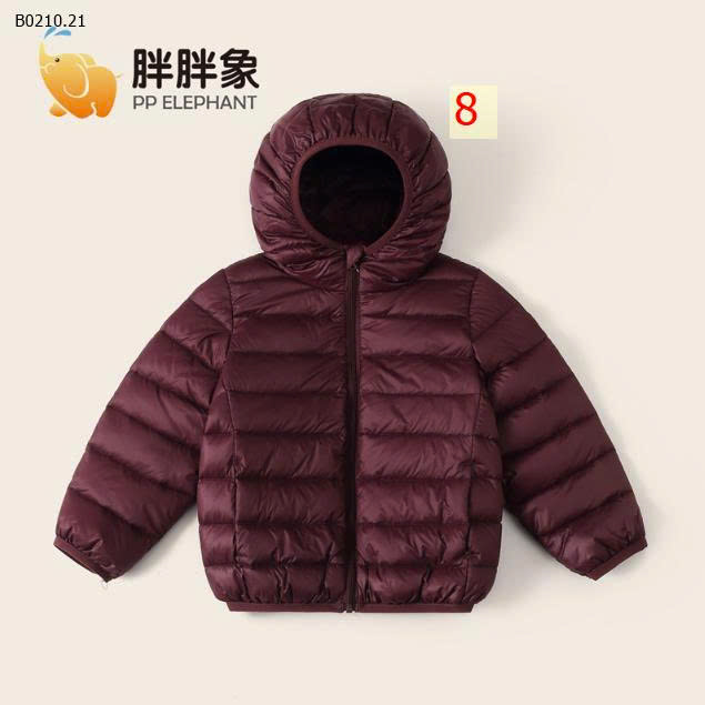 MẪU 8