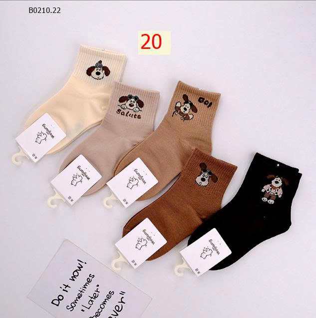 MẪU 20