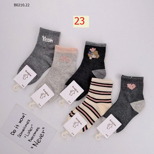 MẪU 23