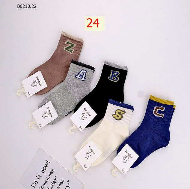 MẪU 24