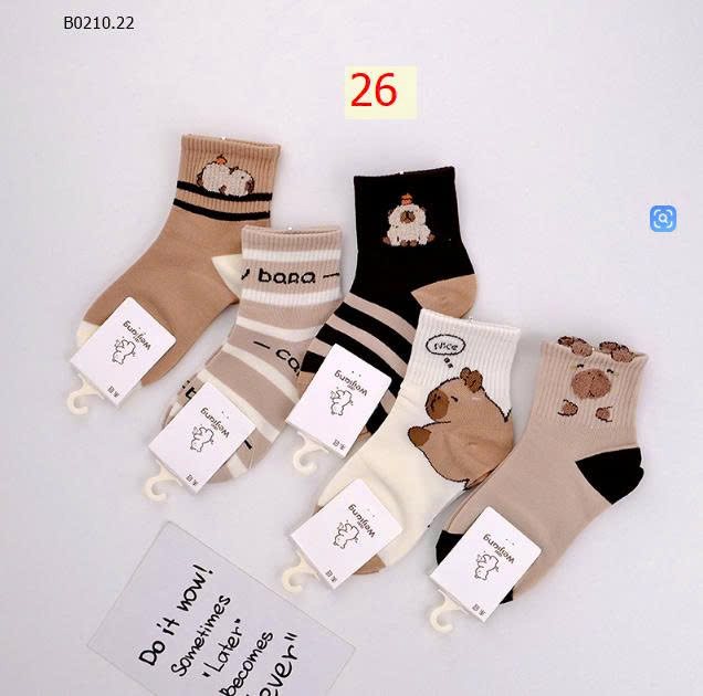 MẪU 26