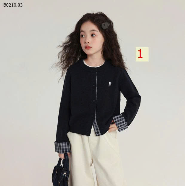 MẪU 1