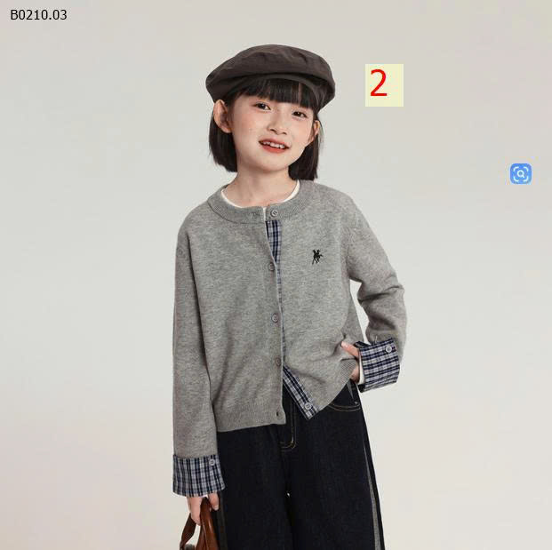MẪU 2