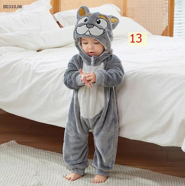 MẪU 13