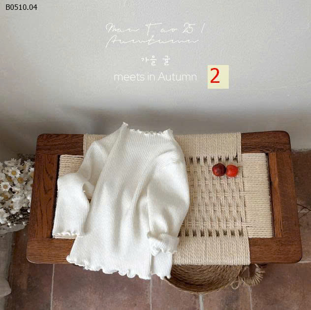 MẪU 2