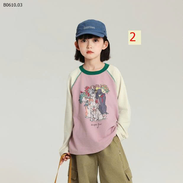MẪU 2