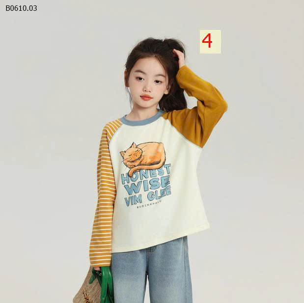MẪU 4