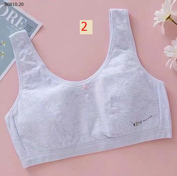MẪU 2