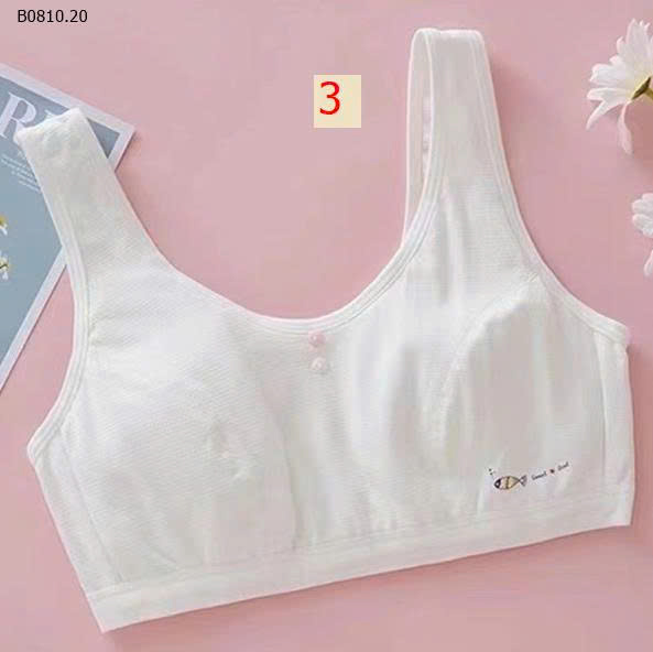 MẪU 3