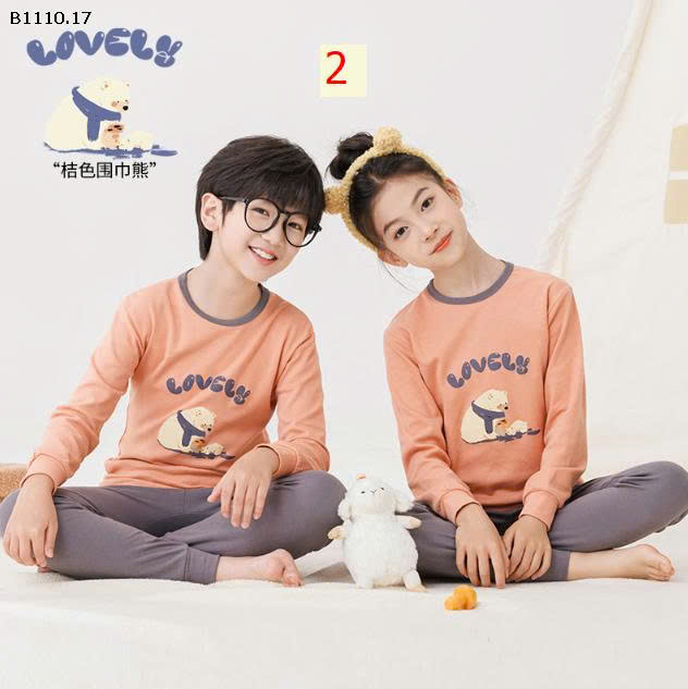 MẪU 2