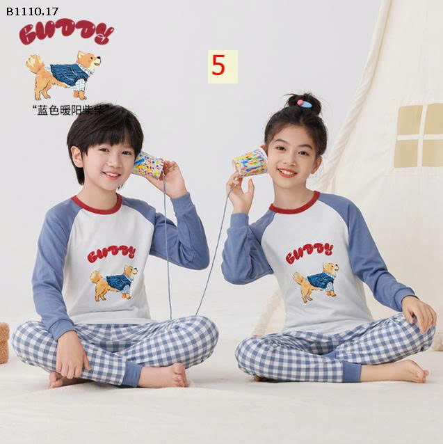 MẪU 5