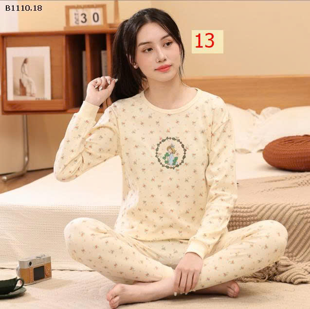MẪU 13