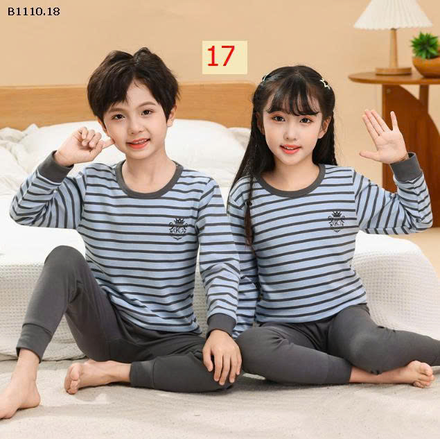 MẪU 17