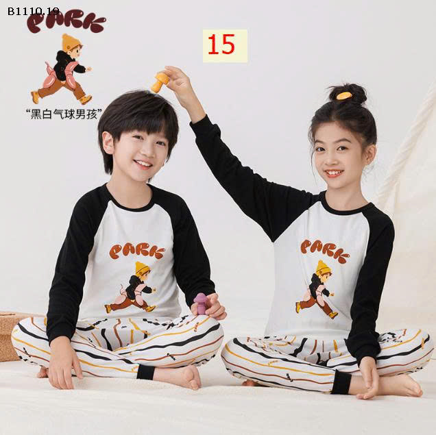 MẪU 15
