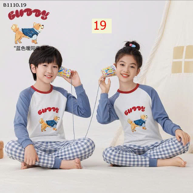 MẪU 19