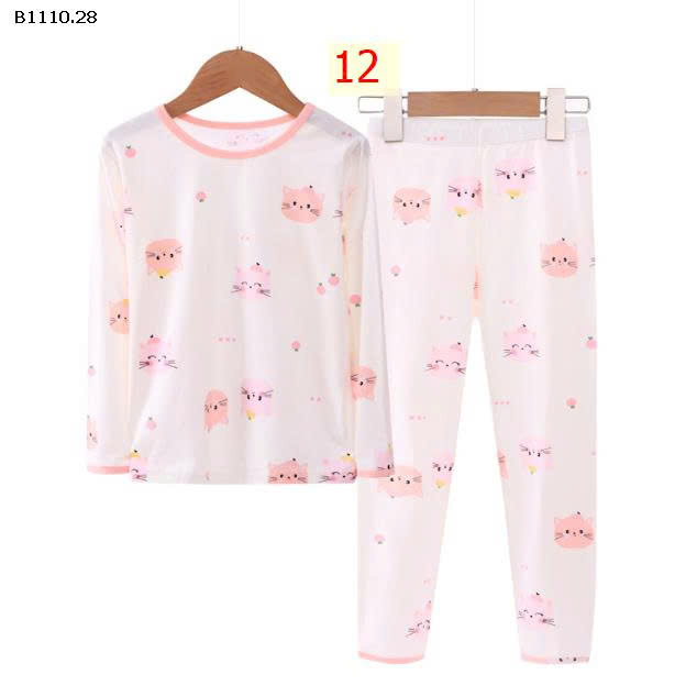 MẪU 12