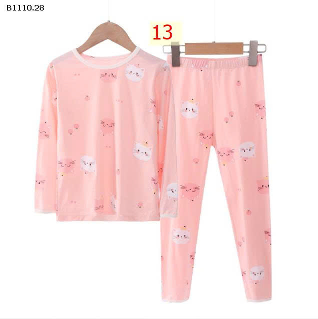 MẪU 13
