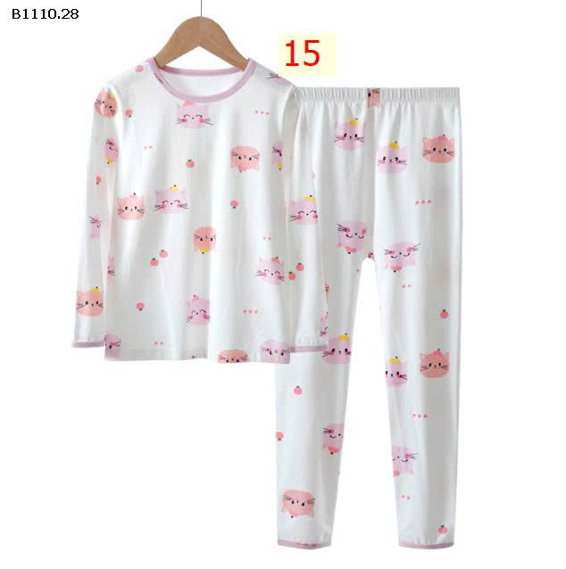 MẪU 15