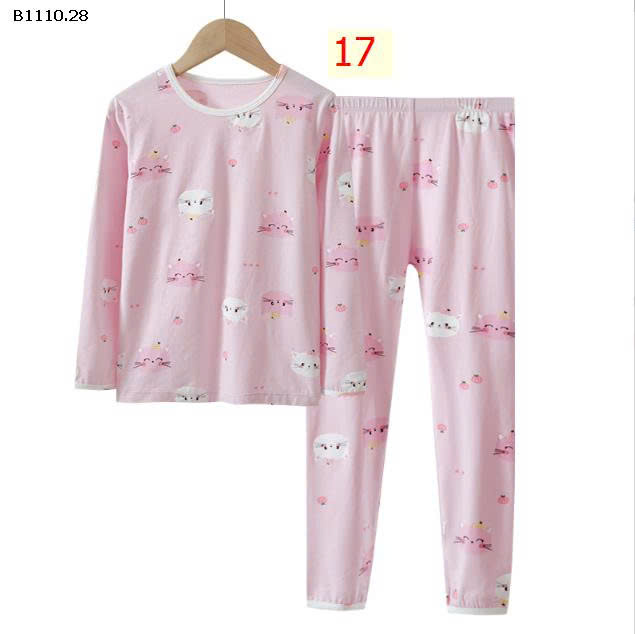MẪU 17
