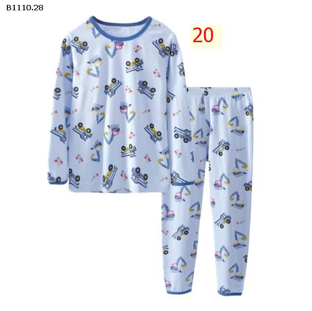 MẪU 20