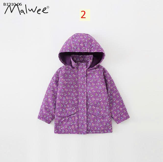 MẪU 2