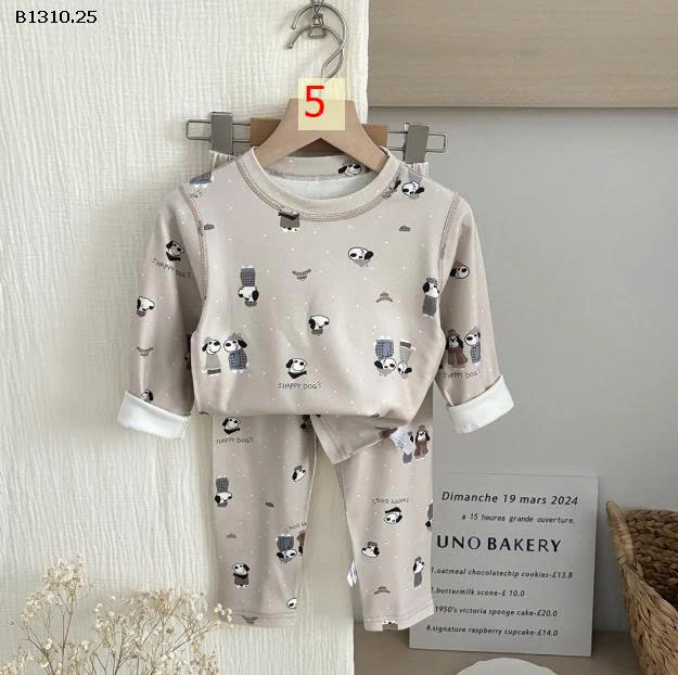 MẪU 5