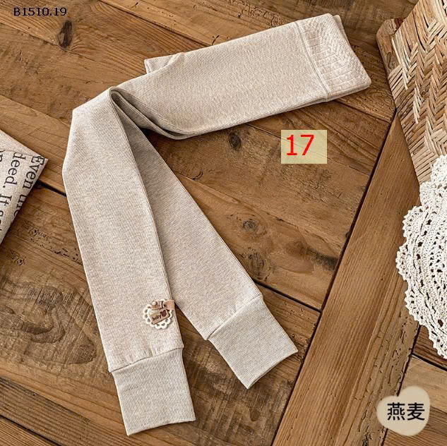 MẪU 17