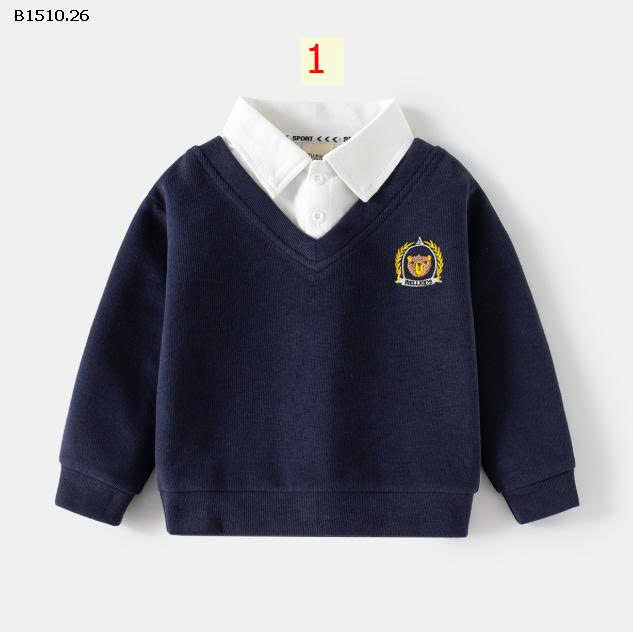 MẪU 1