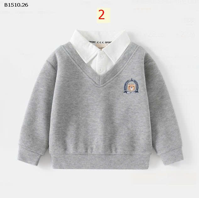 MẪU 2