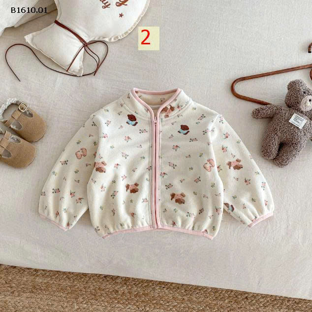 MẪU 2