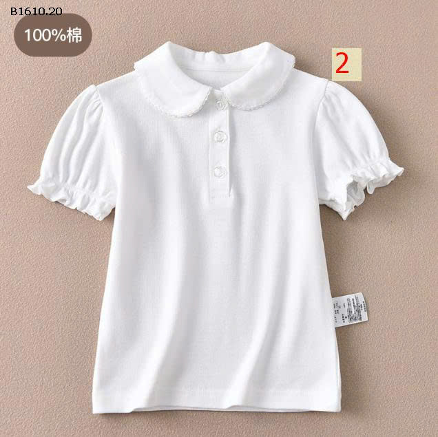 MẪU 2