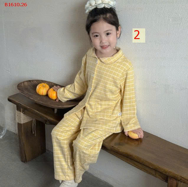 MẪU 2